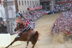Horse race Palio di Siena