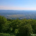 Trekking near Florence at Monte Morello